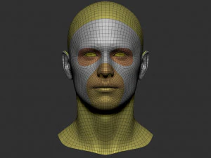 Malha base da cabe&ccedil;a Modelo 3D