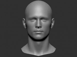Head basemesh 3D Model