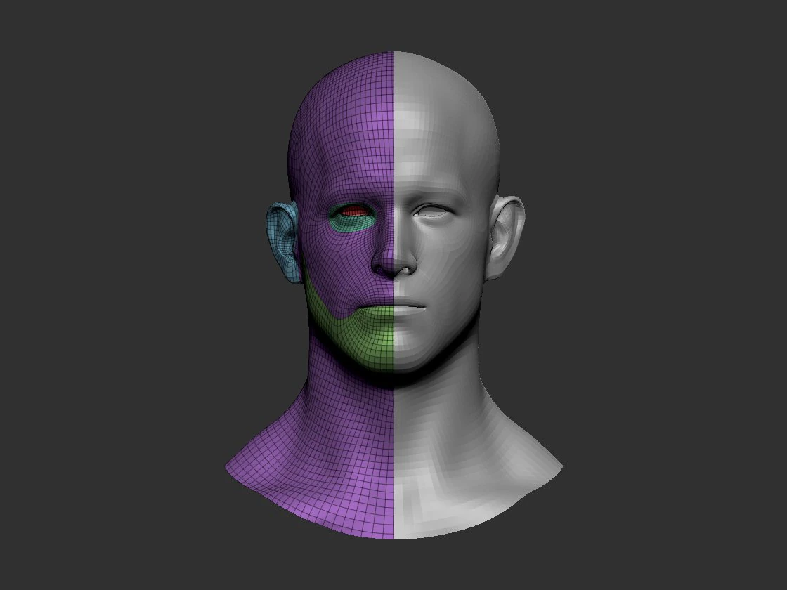 head basemesh 2 3D Model .c4d .max .obj .3ds .fbx .stl .blend 