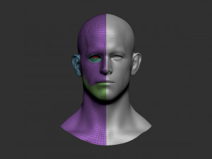 head basemesh 2 3D 모델