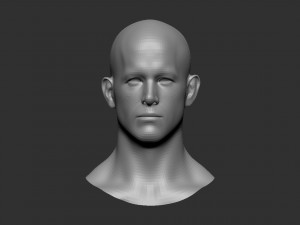 head basemesh 2 3D 模型