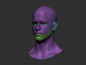 head basemesh 2 3D 模型