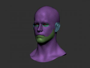 head basemesh 2 3D Model