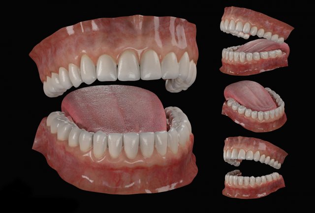 teeth Model 3D .c4d .max .obj .3ds .fbx .stl .blend 