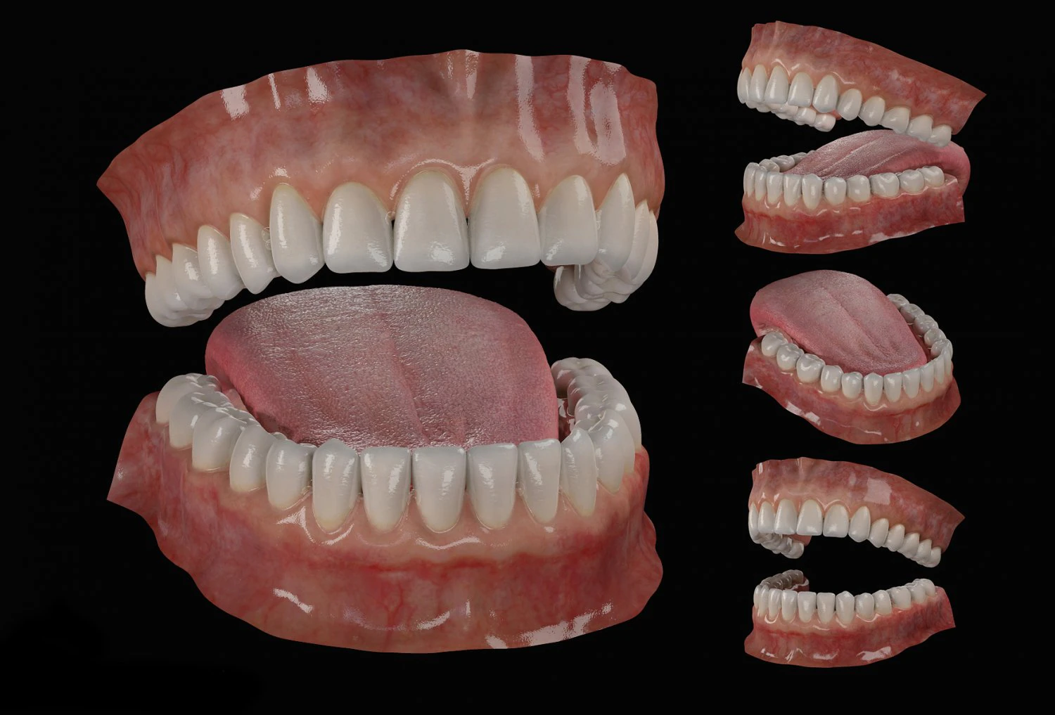 teeth 3D Model .c4d .max .obj .3ds .fbx .stl .blend 