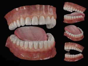 teeth 3D 모델