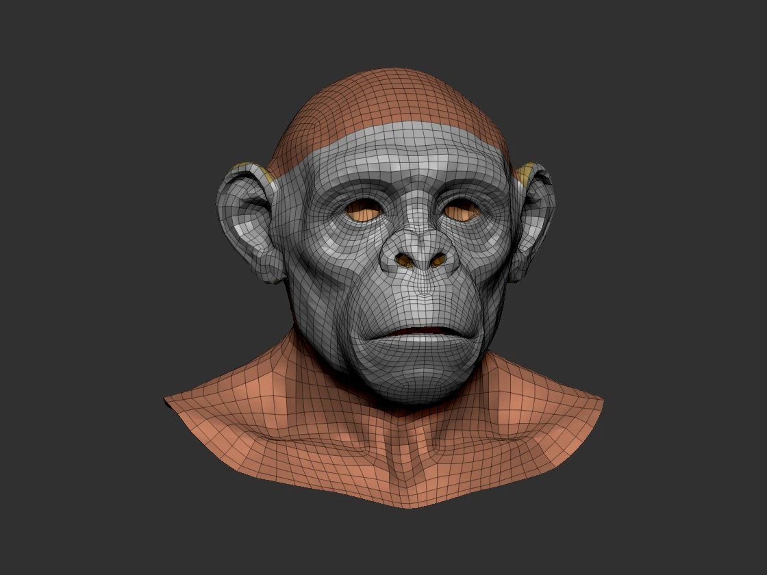goril head 3D Model .c4d .max .obj .3ds .fbx .stl .blend 