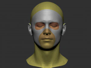 Malha base da cabe&ccedil;a 3 Modelo 3D