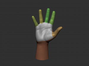 hand 3D 모델