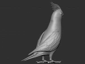 parrot Modèle 3D
