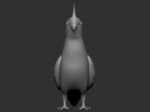 parrot Modèle 3D