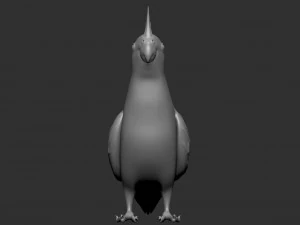 parrot 3D Model