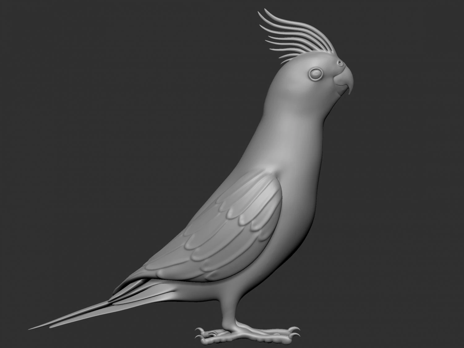 parrot 3D Model .c4d .max .obj .3ds .fbx .stl .blend 