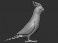 parrot 3D 모델