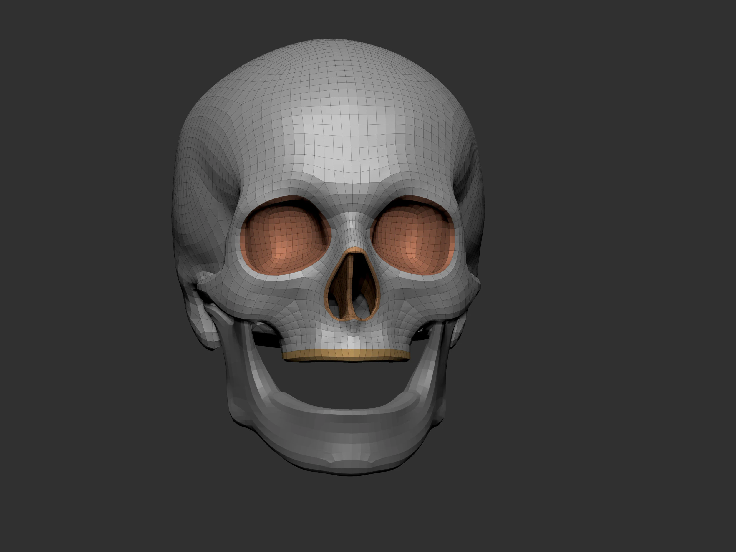 Skeleton 3D Model .c4d .max .obj .3ds .fbx .stl .blend 
