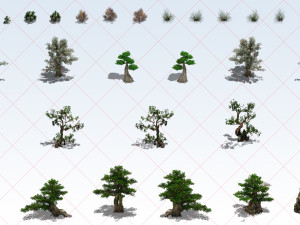 50 Transparent Big Tree Environment Construction Game Asset CG Textures