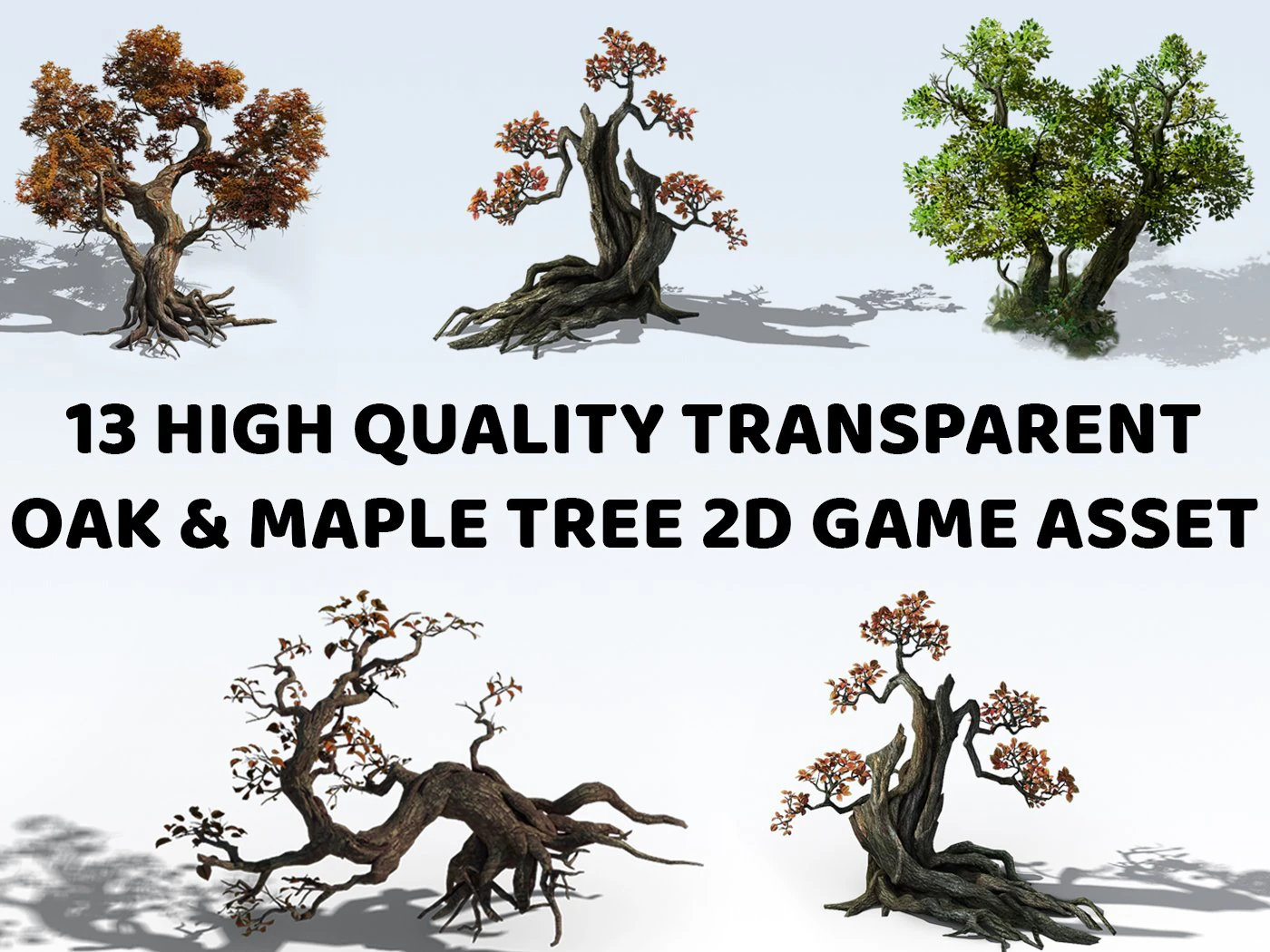 13 Transparent Oak and Maple Tree 2D Game Asset CG Textures .c4d .max .obj .3ds .fbx .stl .blend 