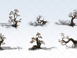 13 Transparent Oak and Maple Tree 2D Game Asset CG Dokuları