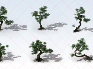 19 Transparent Tree 2D Game Assets Texturas CG