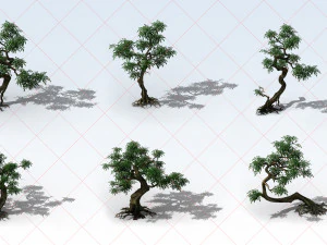 19 Transparent Tree 2D Game Assets CG Textures