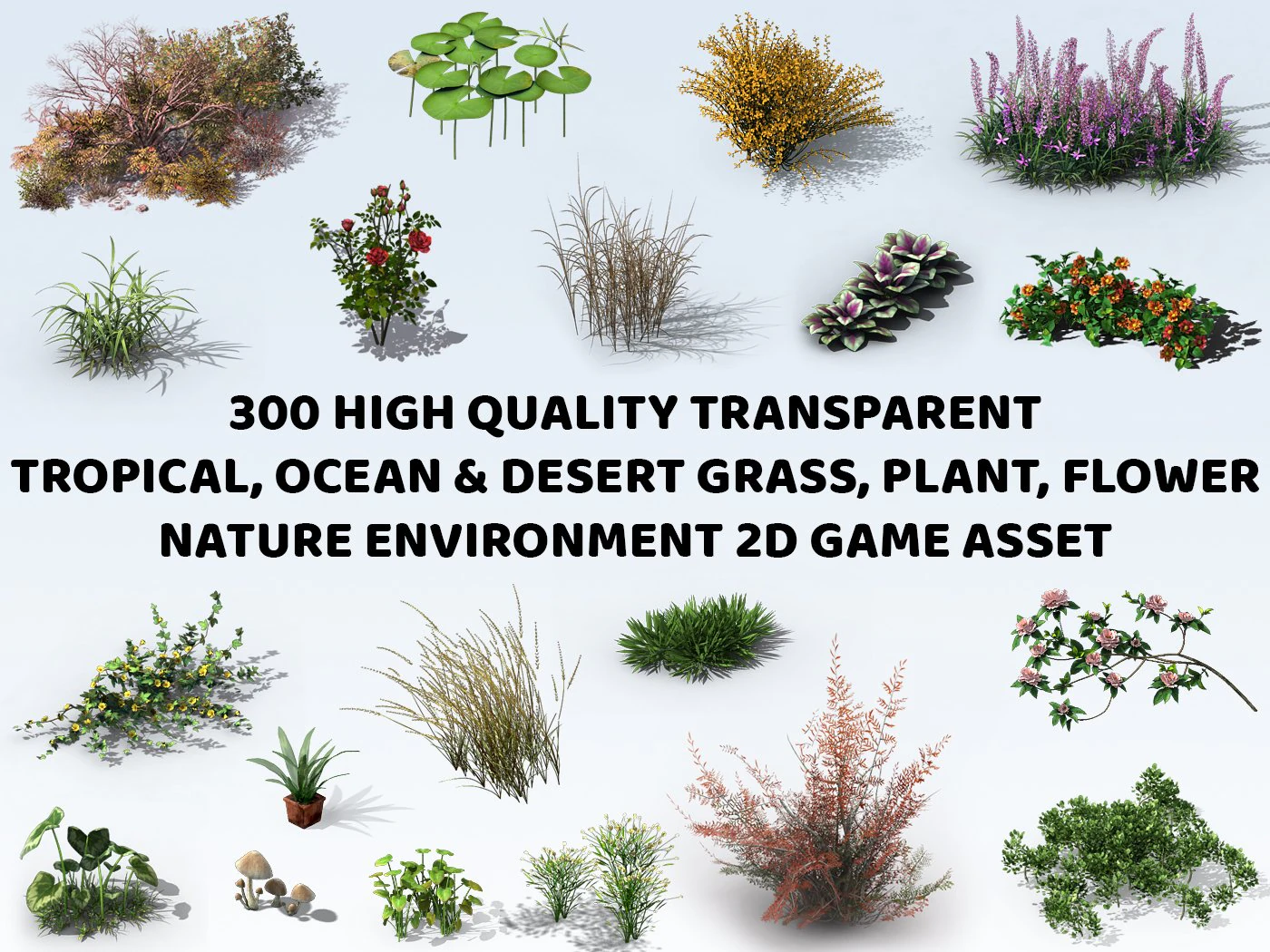 300 Tropical Ocean and Desert Grass Plant Flower 2D Game Asset CG Textures .c4d .max .obj .3ds .fbx .stl .blend 