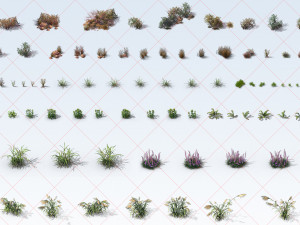 300 Tropical Ocean and Desert Grass Plant Flower 2D Game Asset CG Textures