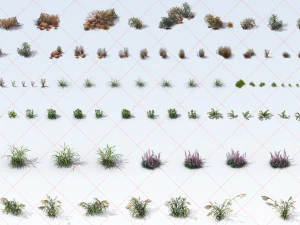 300 Tropical Ocean and Desert Grass Plant Flower 2D Game Asset CG Textures