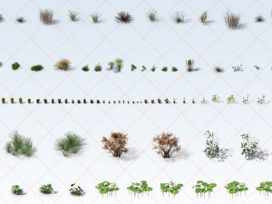 300 Tropical Ocean and Desert Grass Plant Flower 2D Game Asset CG Textures