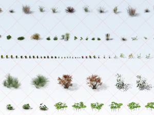 300 Tropical Ocean and Desert Grass Plant Flower 2D Game Asset CG Textures