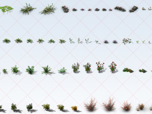 300 Tropical Ocean and Desert Grass Plant Flower 2D Game Asset CG Textures