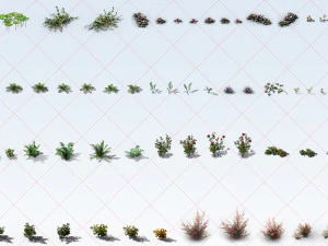 300 Tropical Ocean and Desert Grass Plant Flower 2D Game Asset CG Textures