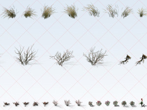 300 Tropical Ocean and Desert Grass Plant Flower 2D Game Asset CG Textures