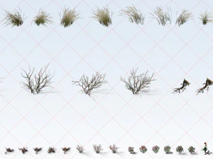 300 Tropical Ocean and Desert Grass Plant Flower 2D Game Asset CG Textures