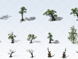 100 Trees Plants Trunk Branches Nature Environment 2D Game Asset CG Textures