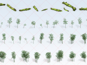 110 Bamboo Trees Plants Trunks Leaves Nature Environment 2D Game Asset CG Textures