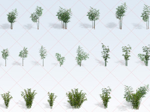 110 Bamboo Trees Plants Trunks Leaves Nature Environment 2D Game Asset CG Textures