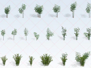 110 drzew bambusowych, roślin, pni, liści, natury, środowiska, gry 2D CG Tekstury