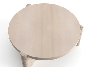 yucca stuff concho table 3D Model