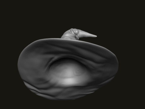 SORTING HAT - HARRY POTTER Modello di stampa 3D