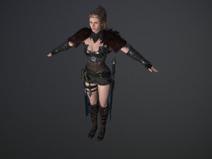 the warrior 3D Модель