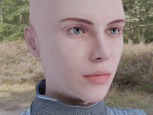 medieval warrior Model 3D