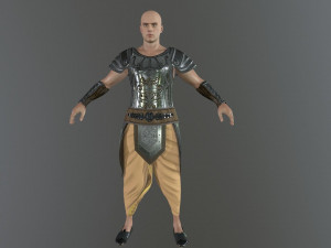 bhisma the warrior 3D 모델