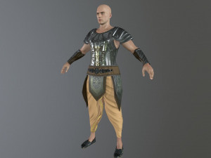 bhisma the warrior 3D Model