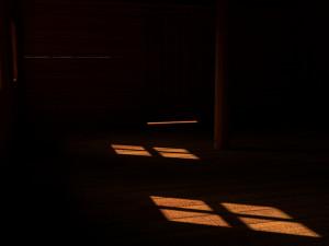 wooden house Modèle 3D