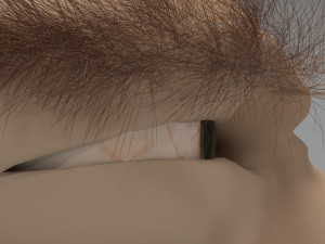 cowboy 3D Model
