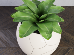 plant cracked pot 3D Model