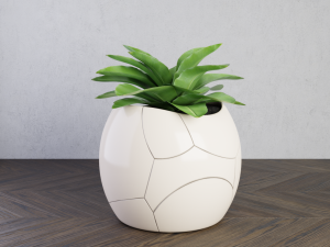 plant cracked pot Model 3D