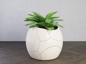 plant cracked pot 3D Model