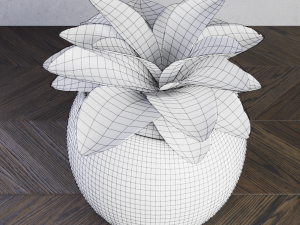 plant cracked pot 3D Model