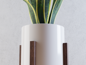home plant 3D-Modell